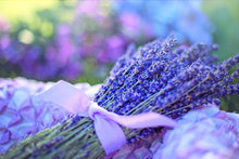 Cargar imagen en el visor de la galería, LAVENDER PETITE HAND CREME